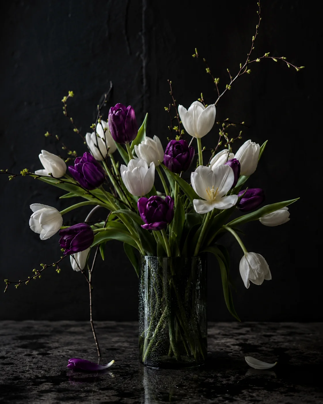 Bratislavské ráno, prémiové tulipány, breza, sezónna zeleň